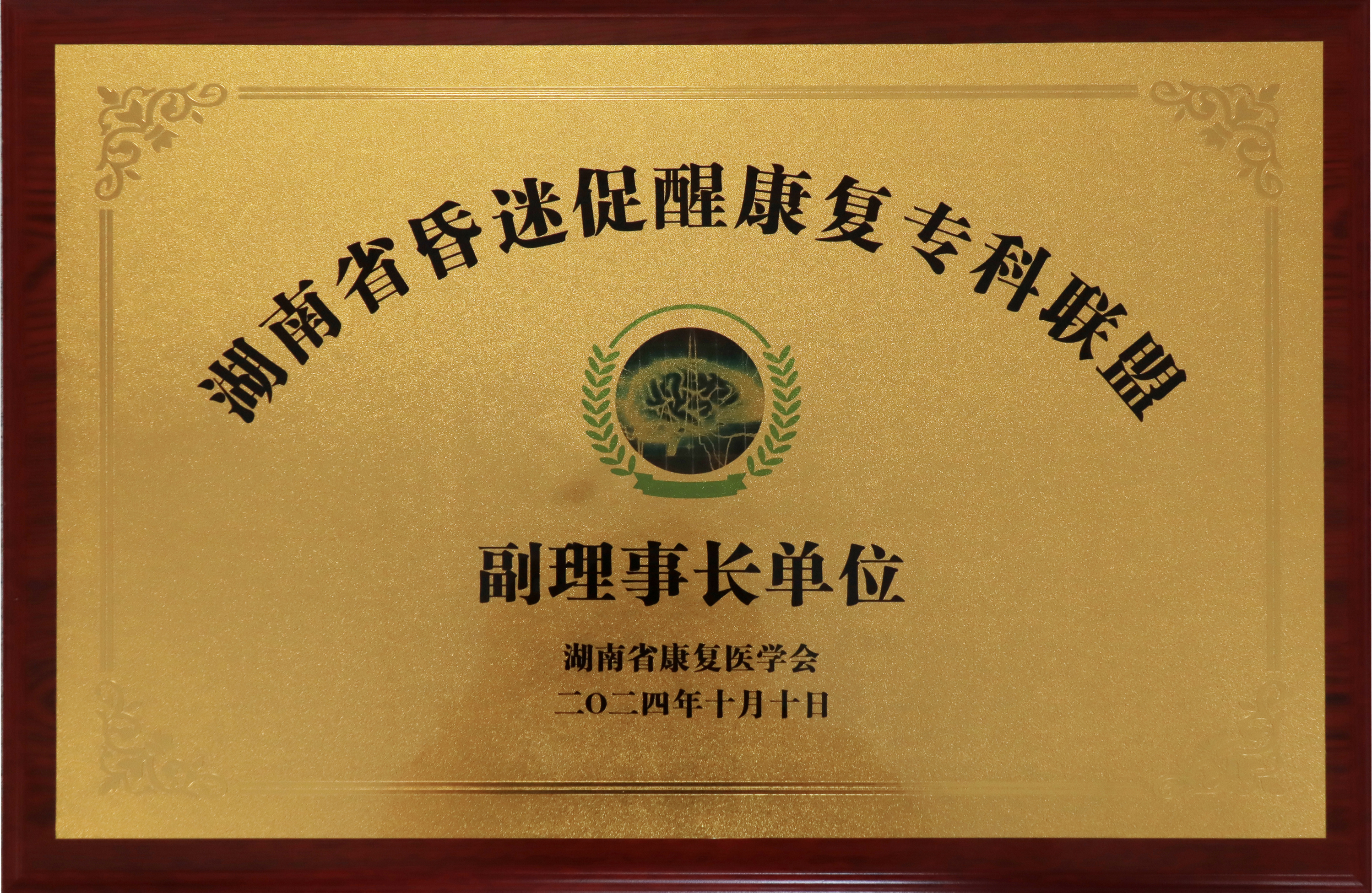 我們的榮譽(yù)