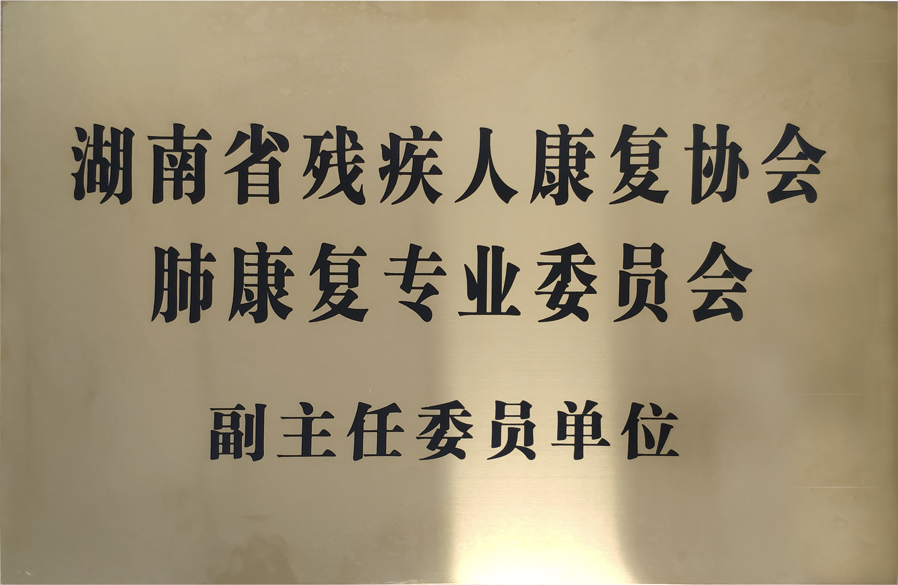 我們的榮譽(yù)