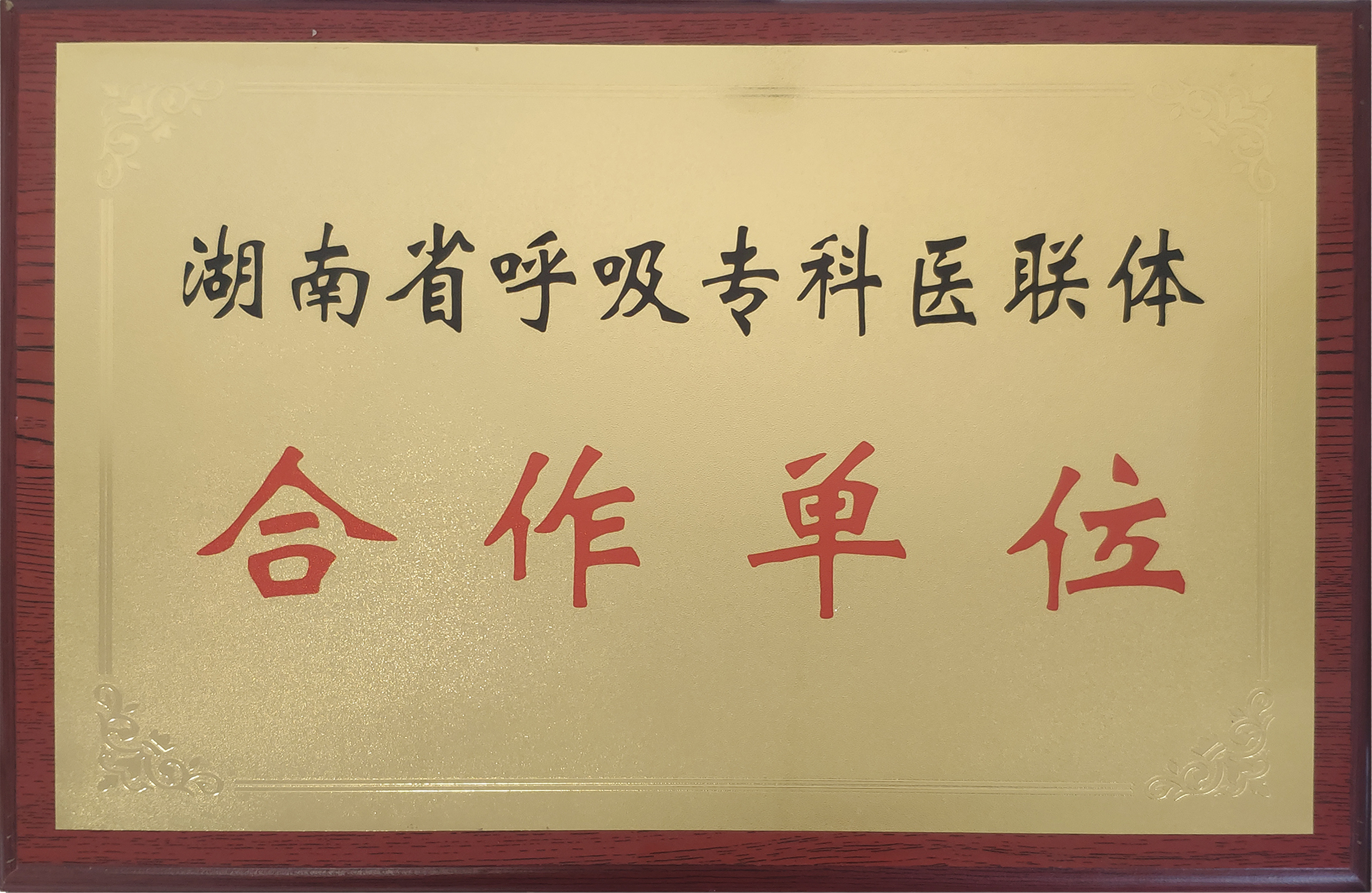 我們的榮譽(yù)